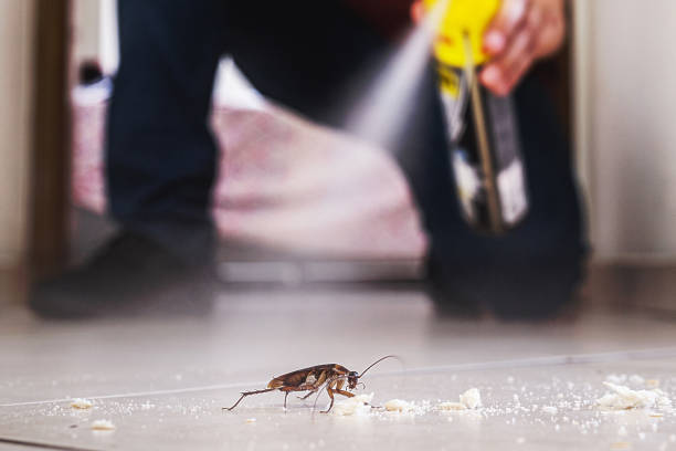 Best Pest Control Treatment  in Fowler, MI