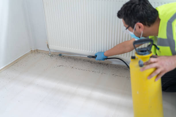 Best Flea Control Services  in Fowler, MI
