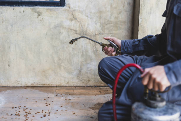 Best Pest Control Cost  in Fowler, MI